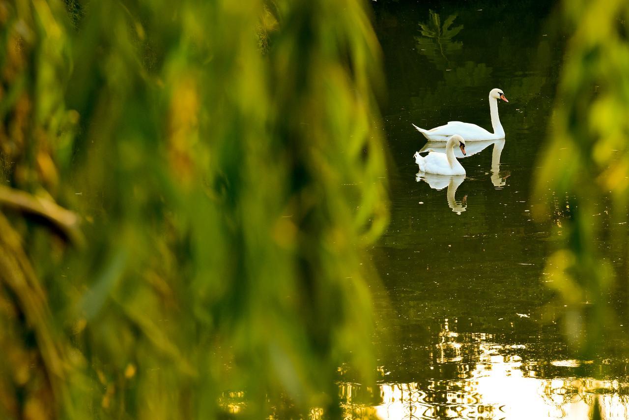Lacul Verde Resort Ploieşti Exteriér fotografie